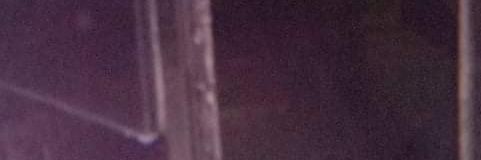 Leopard46962274's profile banner image
