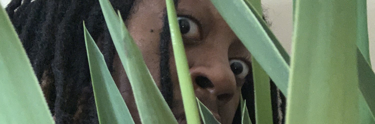PlatGamma's profile banner image