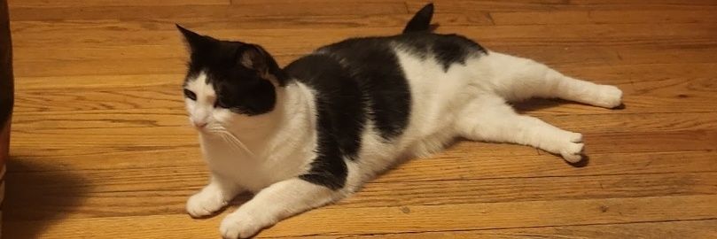 sam banner