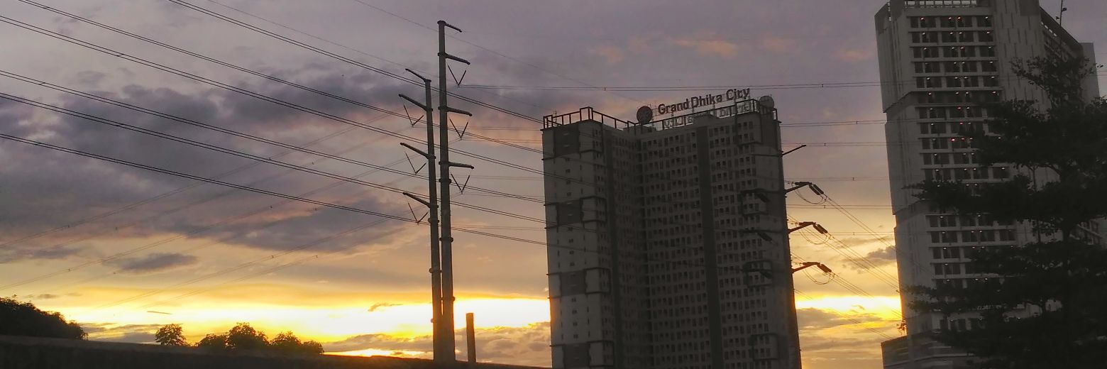 ananasbusuk's profile banner image