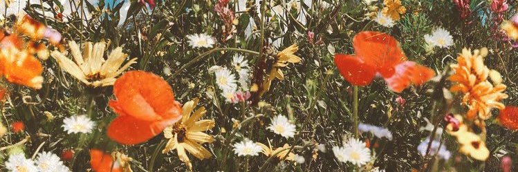 katers333's profile banner image