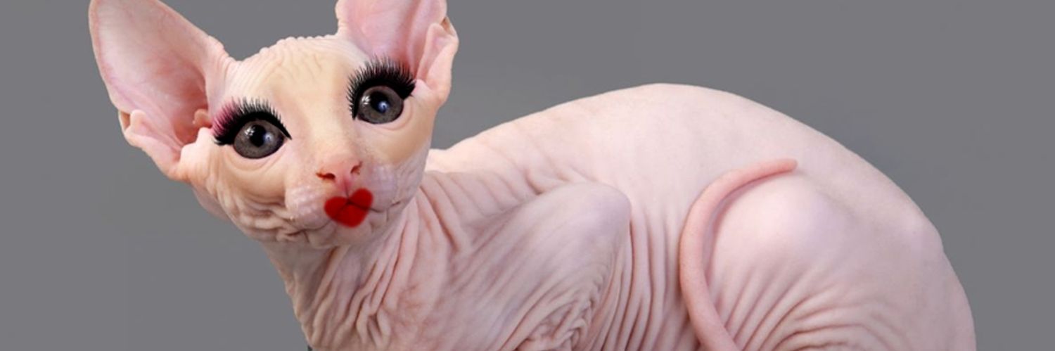 ailucasquesaco_'s profile banner image