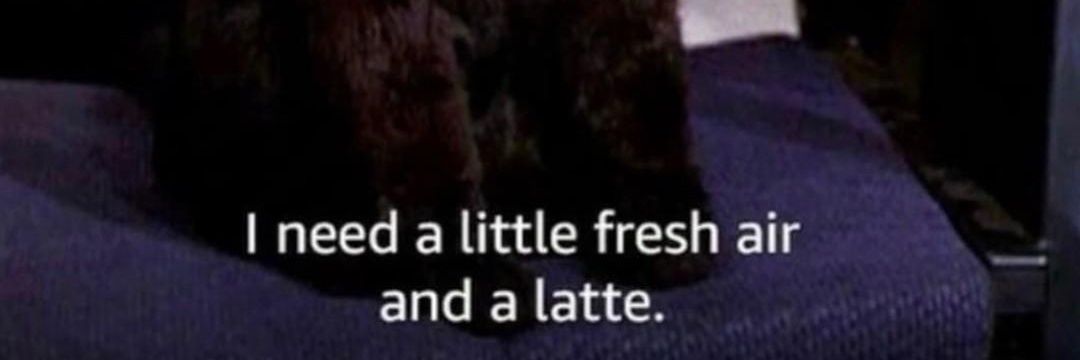 Mad as birds 🍂 banner