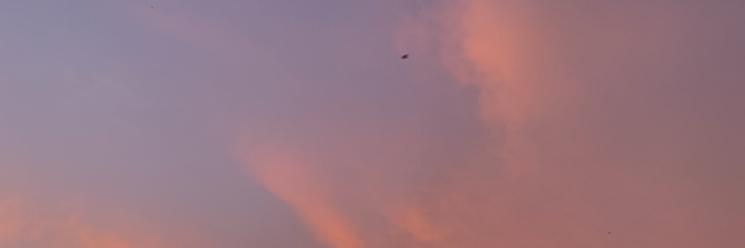 bakoltahu99's profile banner image