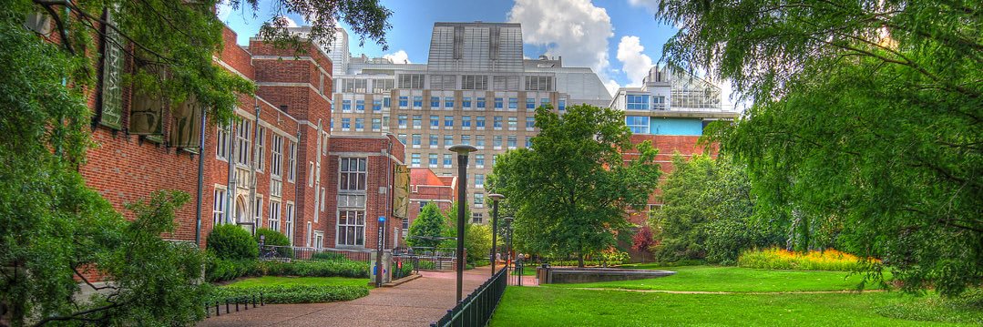 Matthew H. Wilson banner