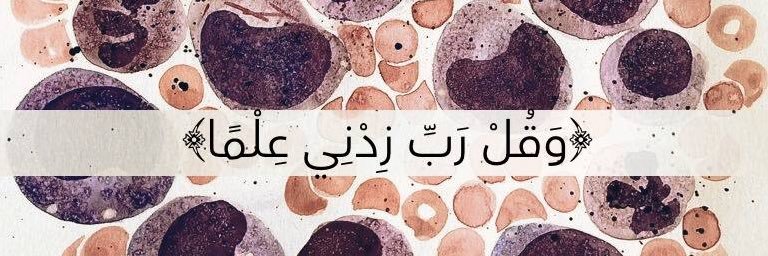 Salma 🔬💛 banner