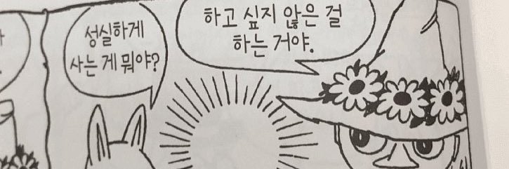 bbollobb's profile banner image