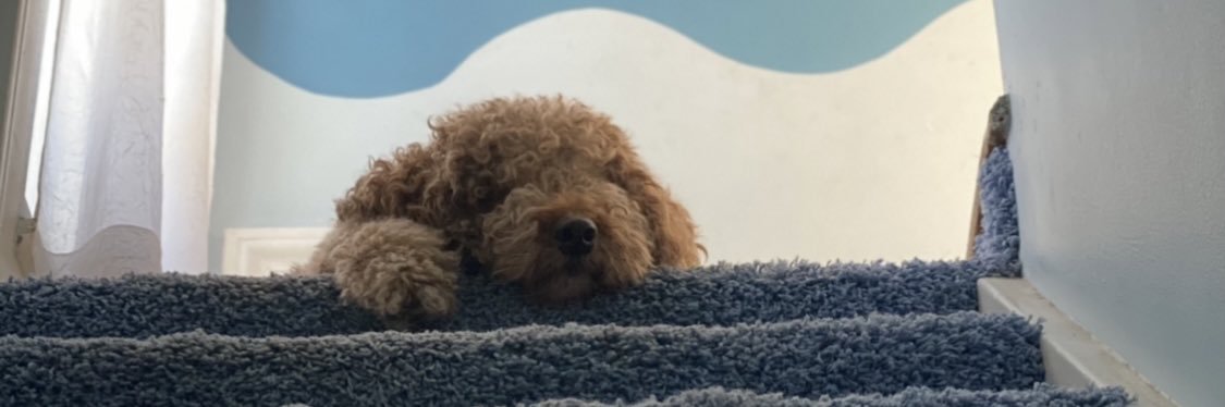 dwebs51's profile banner image