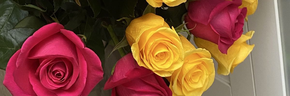 wang_non1's profile banner image