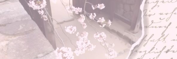 ୨ৎ banner