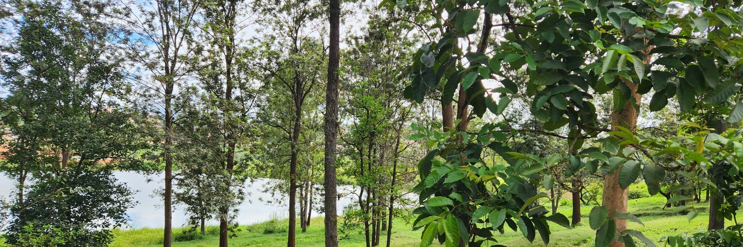 Aslan Alper Yüksel banner