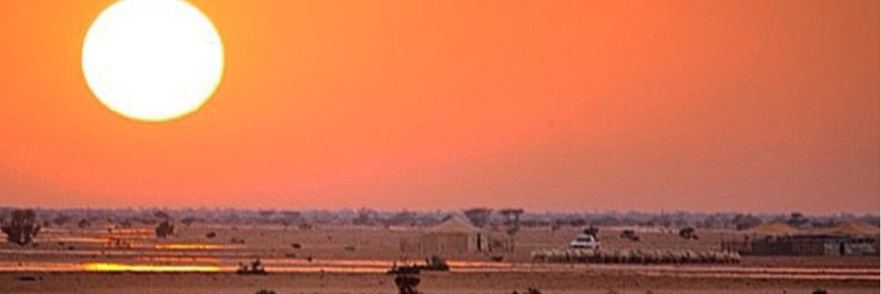 sseerr44552's profile banner image