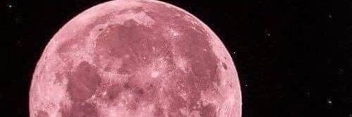 ariana97021845's profile banner image