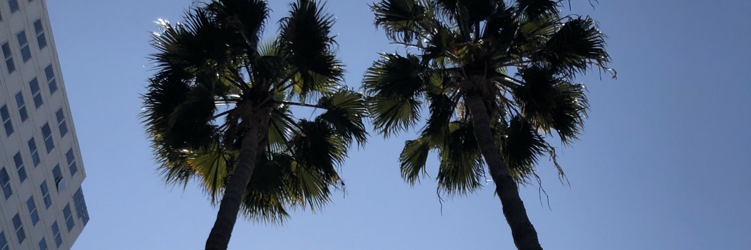 annagottfried03's profile banner image