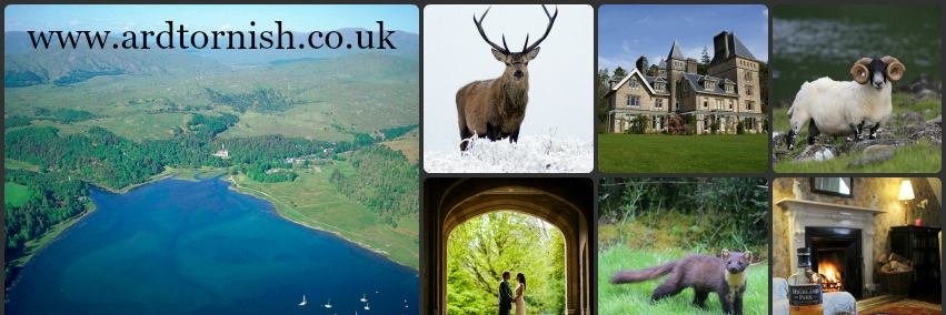 Ardtornish's profile banner image