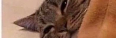 cmdrSpencer's profile banner image