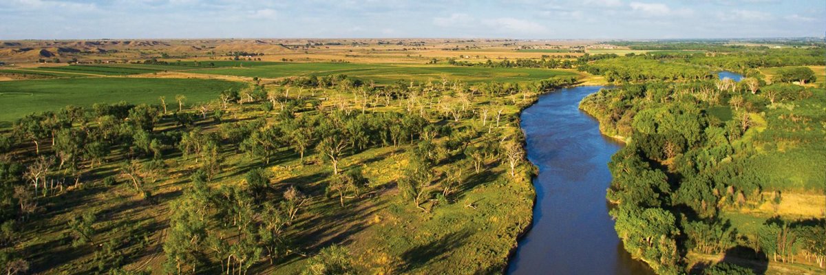 ARISE Music Festival banner