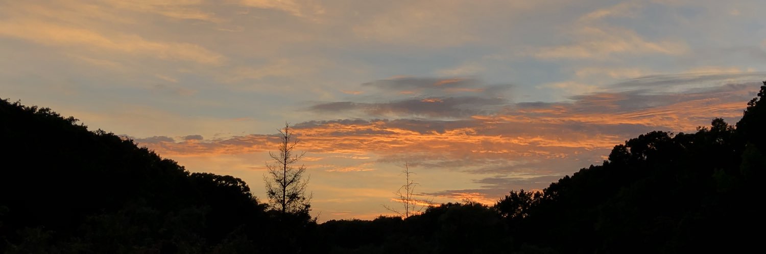 Alina_Snis's profile banner image