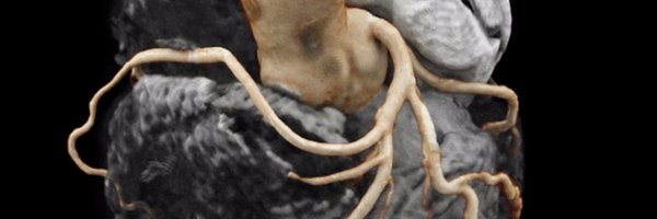sergiopatronMD Profile Banner