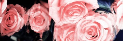 Ellen Dark banner