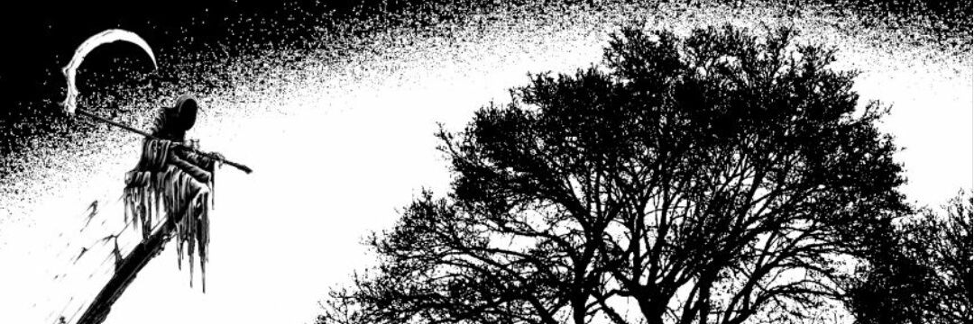 Vctorgm_'s profile banner image
