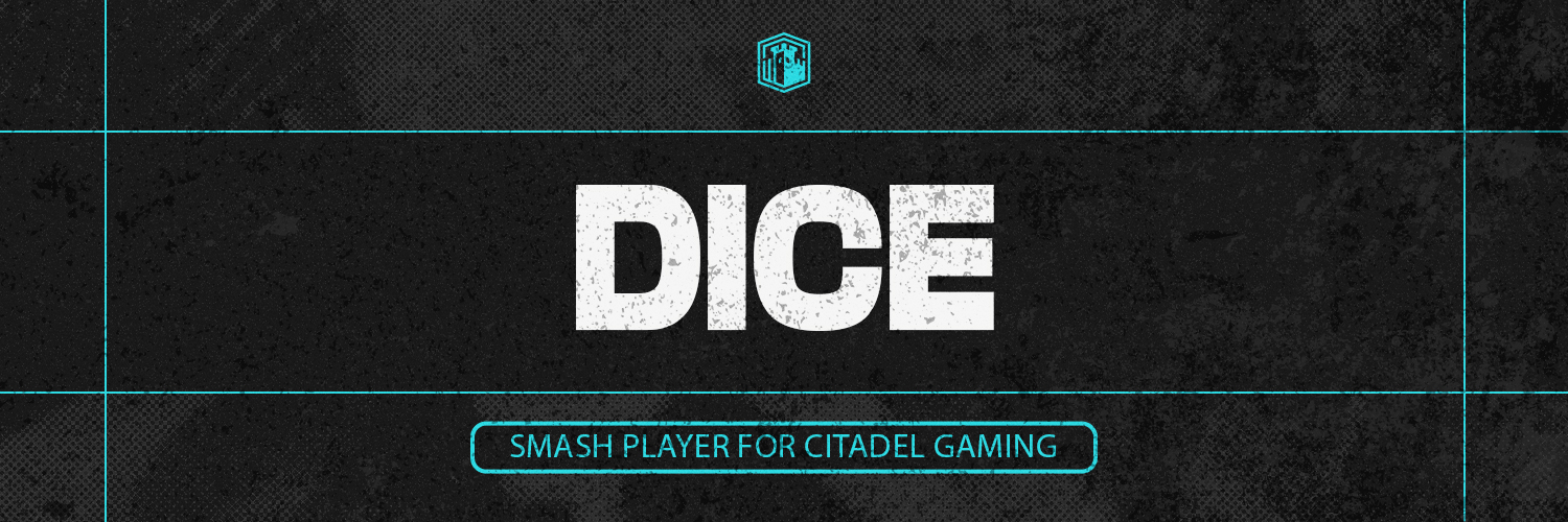 CITADEL | MSU | Dice! banner