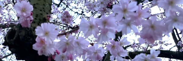 0815_goes_4711 Profile Banner