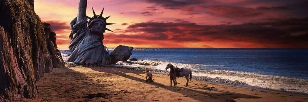 Qué fue del pajarito ⁉️ banner