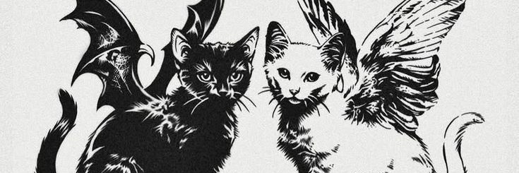 kkkkkkjaque's profile banner image