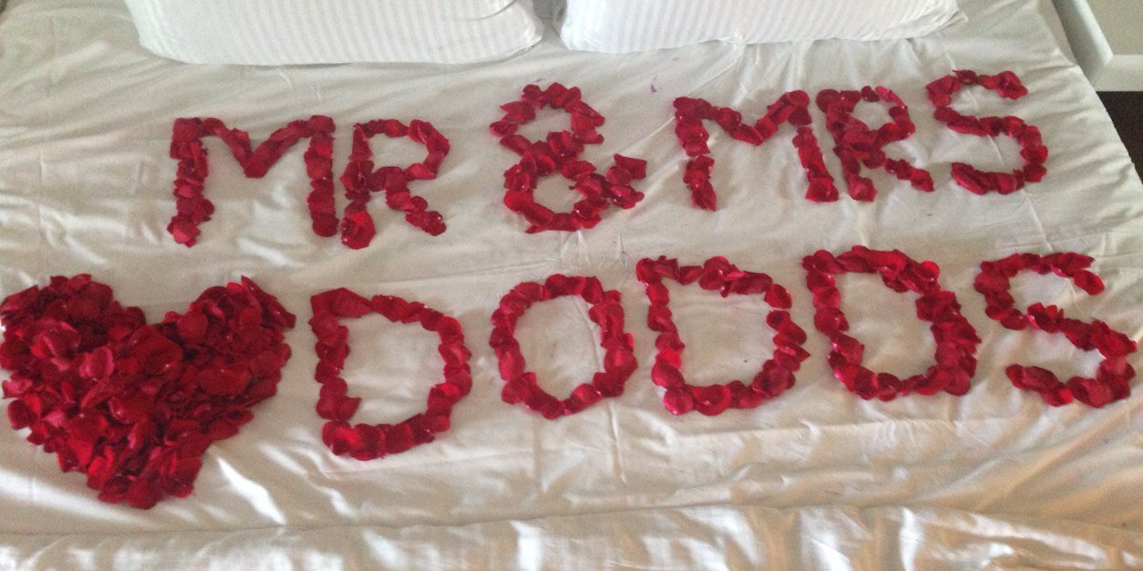 Sophdodds's profile banner image
