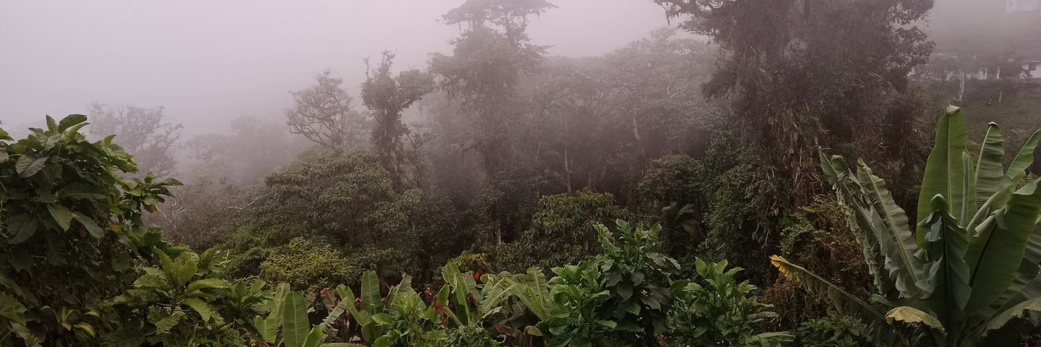 VictorManuel98's profile banner image