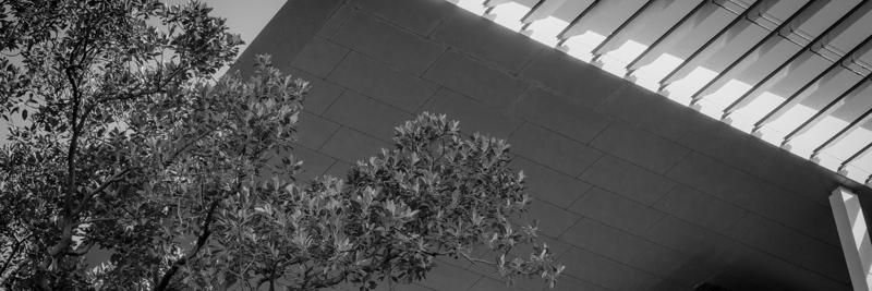 jroeloffs's profile banner image