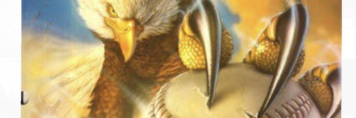 OLLIE's banner