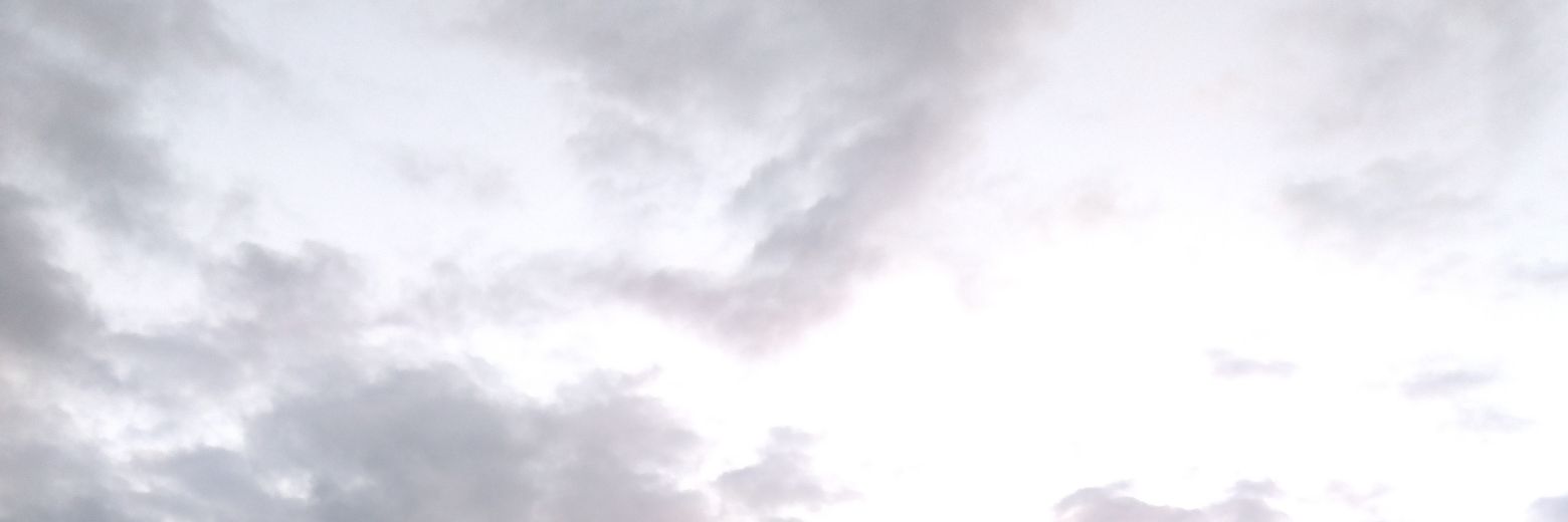 lemoncandy204's profile banner image