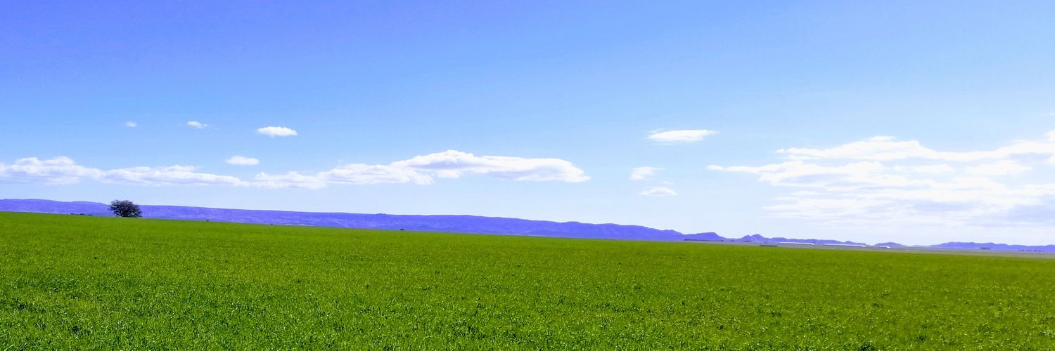 Flavio D Bertola banner