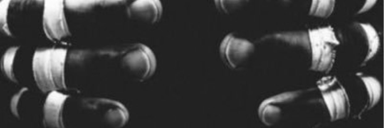 OsoBenecio's profile banner image