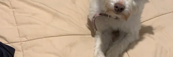 Caroalejadrx Profile Banner