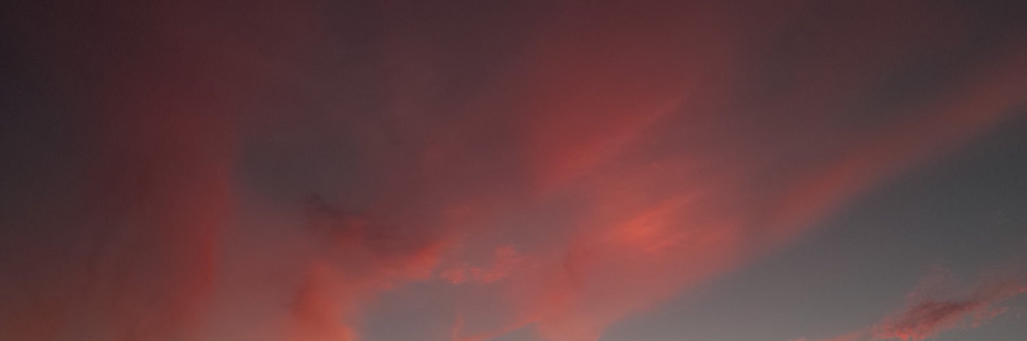 aarirodriguez_'s profile banner image