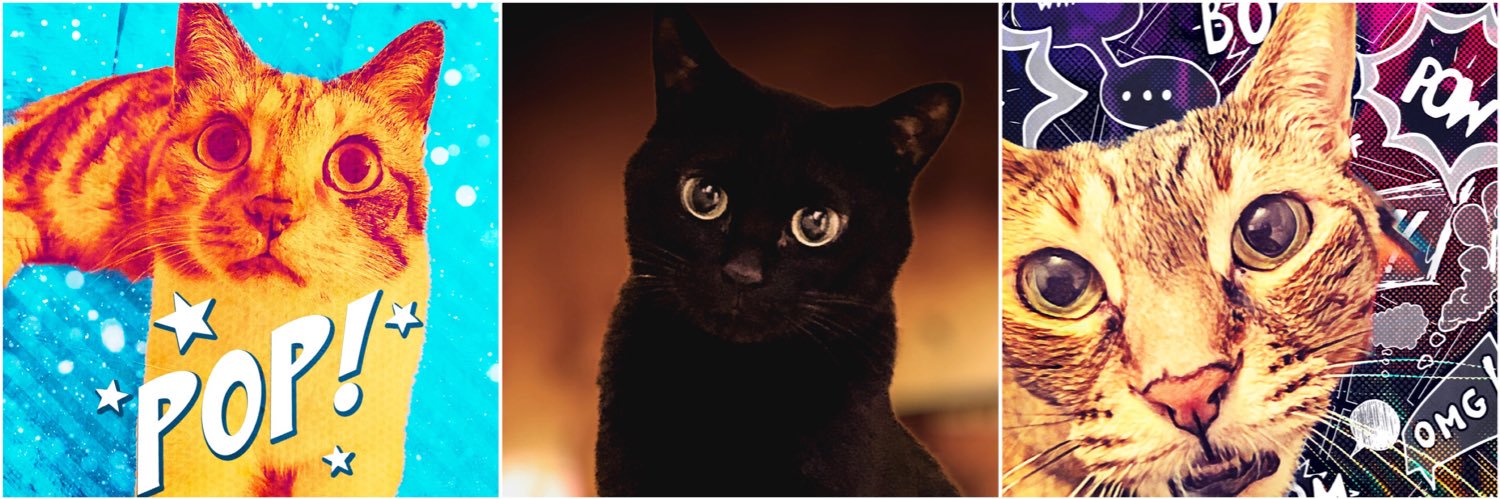 𝕤𝕒𝕥𝕠𝕤𝕙𝕚⭐︎𝕟𝕕𝕖𝕞𝕒𝕫 banner