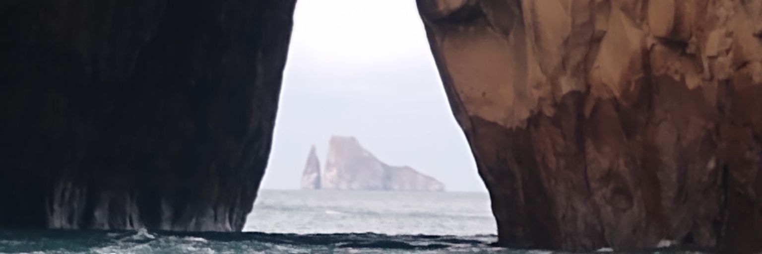 Drew Stolzmann banner