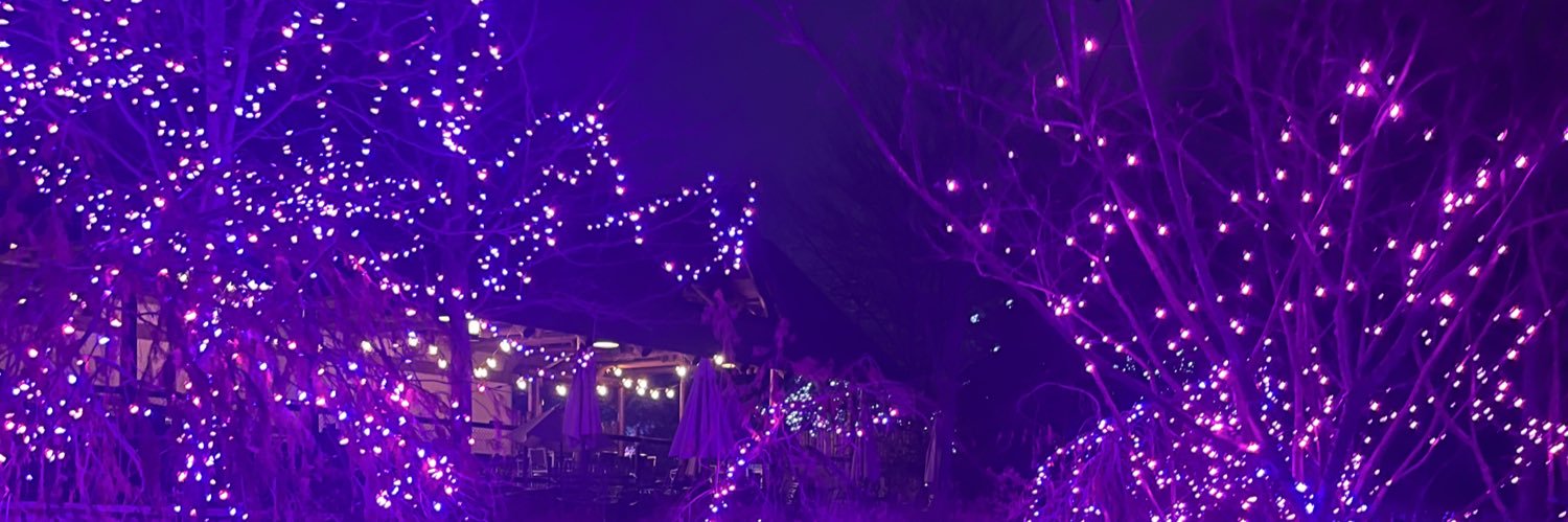 lexgrice's profile banner image