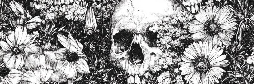 TriannaEpicness's profile banner image