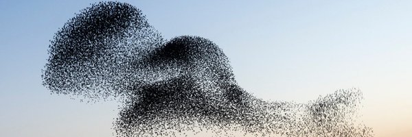 a2xistguy28 Profile Banner