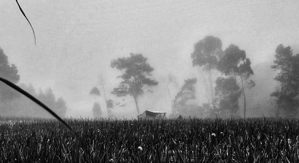seewme's profile banner image