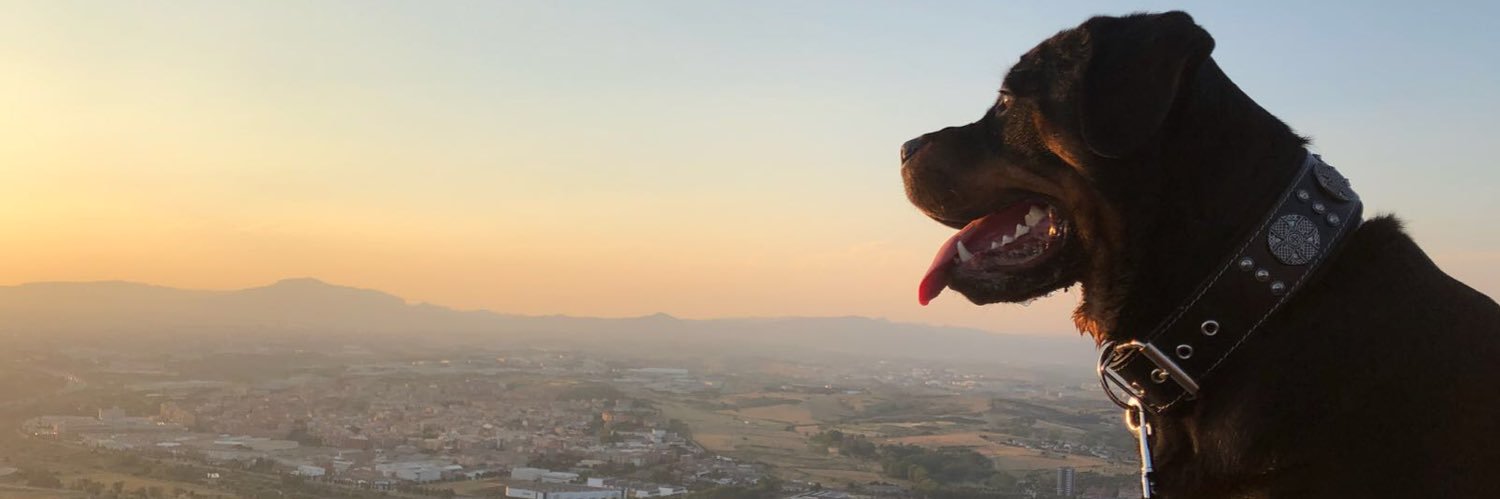 brydimi's profile banner image