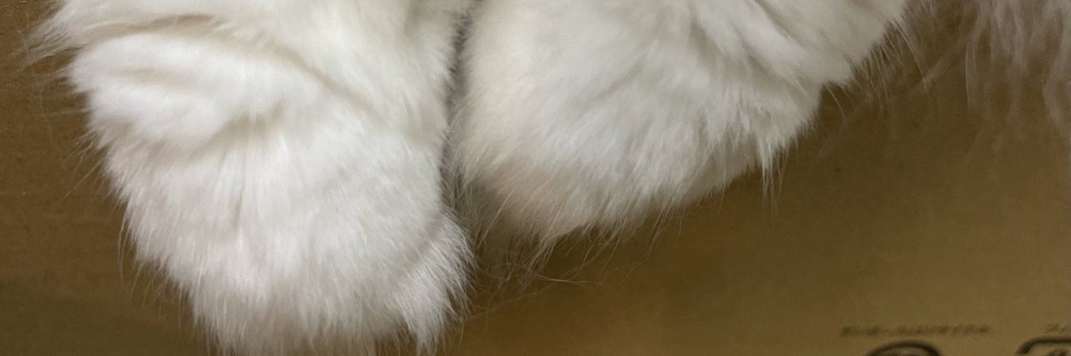 saftyblanket's profile banner image