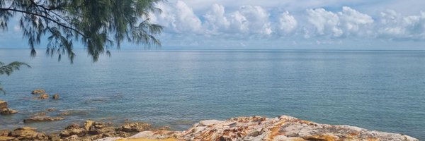 ThatAussieWoman Profile Banner