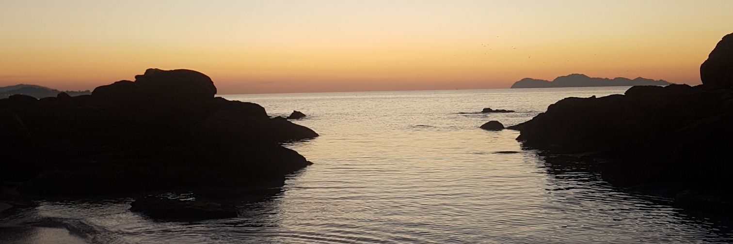 ElenaGoomez__'s profile banner image