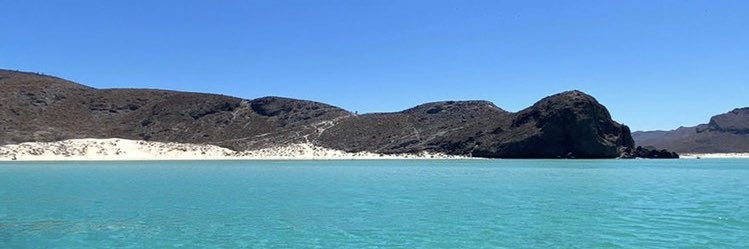 FernandaMaGra's profile banner image