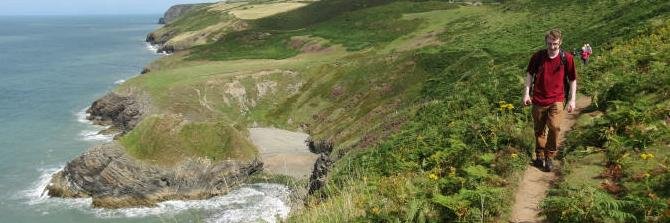 curonwyn's profile banner image